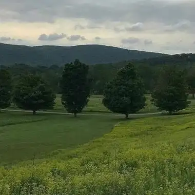 高清清新绿色系治愈背景图片头像