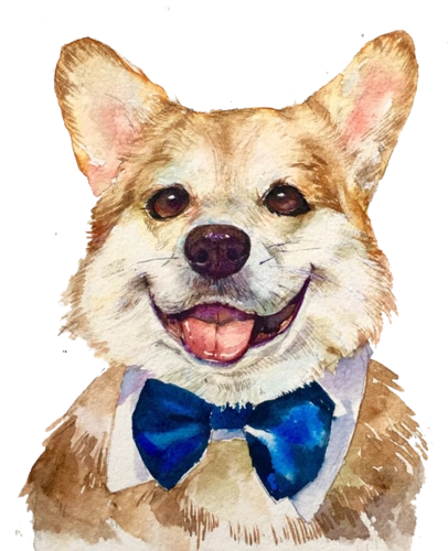 卡通手绘柯基图片