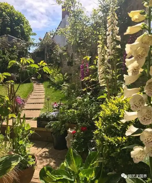 城市里的英式乡村花园,设计应该贴合你的生活方式!