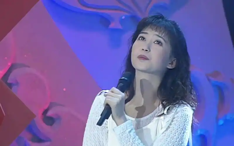 风中有朵雨做的云孟庭苇