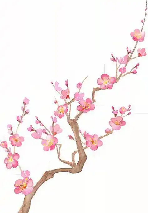 漫话光福丨徐有贞率先歌咏赏梅诗_福梅花_邓尉_苏州