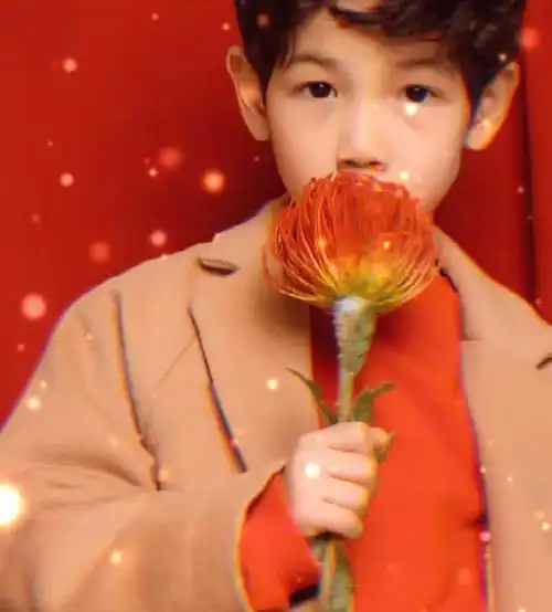 杨烁|杨雨辰_新浪新闻