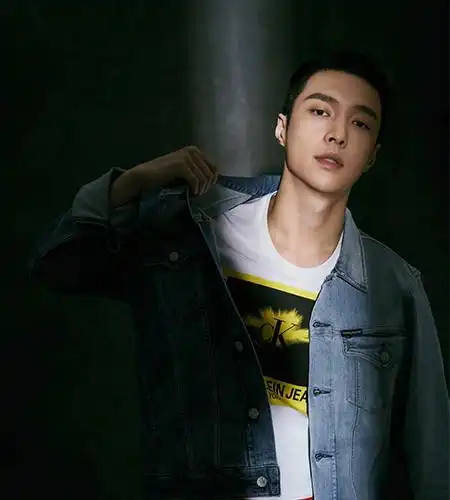 现在就让我们看一下张艺兴,任嘉伦,陈伟霆,林更新,华晨宇的寸头发型有