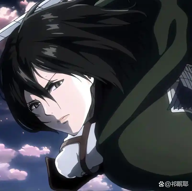 三笠头像 想拿就拿 拿了记得吱声 不好看勿喷