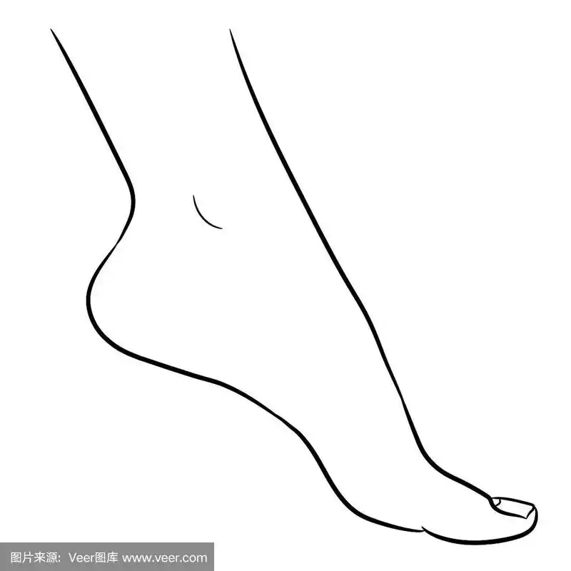 脚女从轮廓黑色笔刷线在白色的背景.矢量插图.