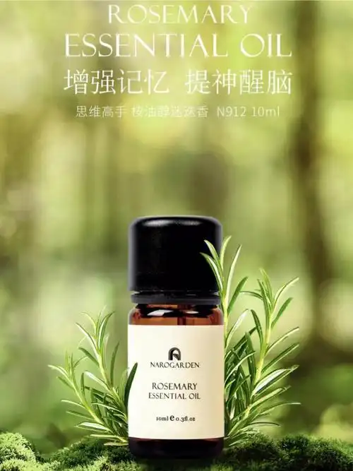 桉油醇迷迭香罗马人迷恋的海之朝露