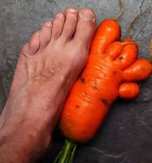 来比比谁的脚大