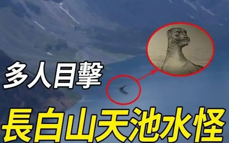 长白山天池水怪最新目击,珍贵视频证据保存,脑袋竟然比牛还大