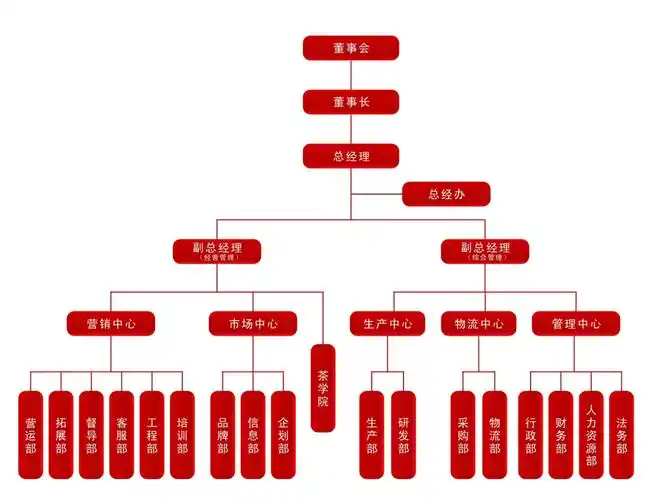 团队结构的介绍