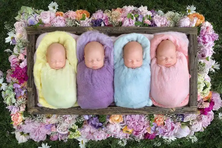 你肯定没见过同卵四胞胎女孩的照片既罕见又可爱