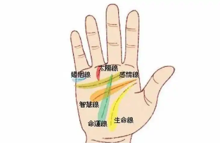 手相扫一扫测试法看手相