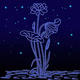 蓝色星空 荷花