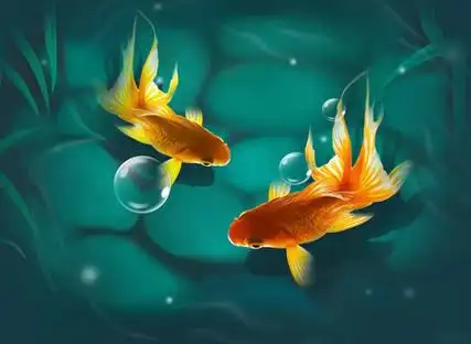 女生为什么会梦到很多鱼(女人梦见很多鱼是什么预兆)