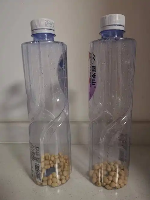 让学生爱上作业:自制乐器