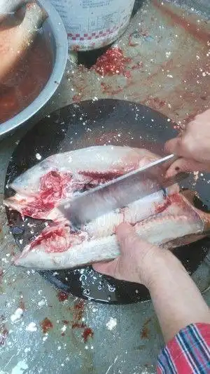 超级简单详细的杀鱼方法的做法步骤 第12步