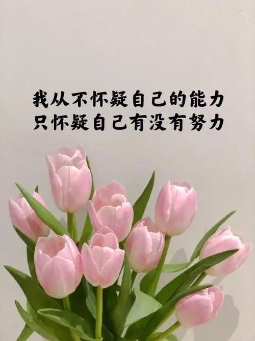 正能量文案发圈文案素材励志文案