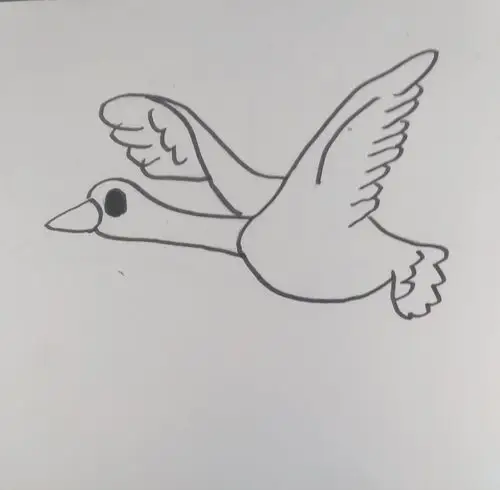 南飞的——大雁