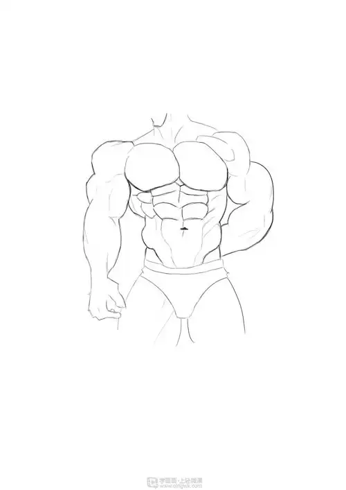 临摹男性肌肉角色人物肌肉绘画训练