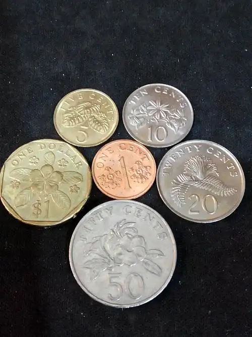 新加坡硬币
