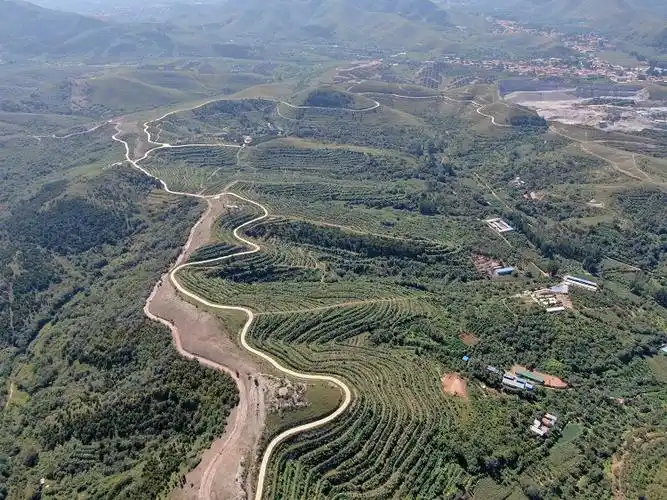 河北玉田特色农业激活乡村振兴新引擎