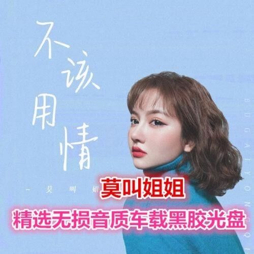 莫叫姐姐车载cd精选合集专辑热门流行音乐不该用情歌曲无损cd光盘