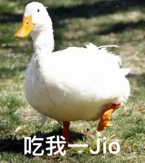 最近流行的鸭子是什么梗 最近流行的鸭子是什么意思[多图]