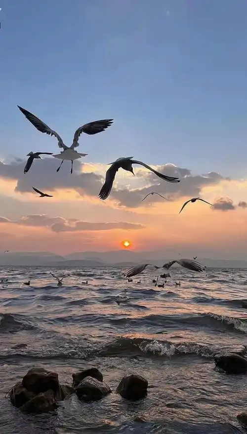 1%电量也要换的壁纸#手机墙纸 #欢迎娶图 #锁屏 - 抖音