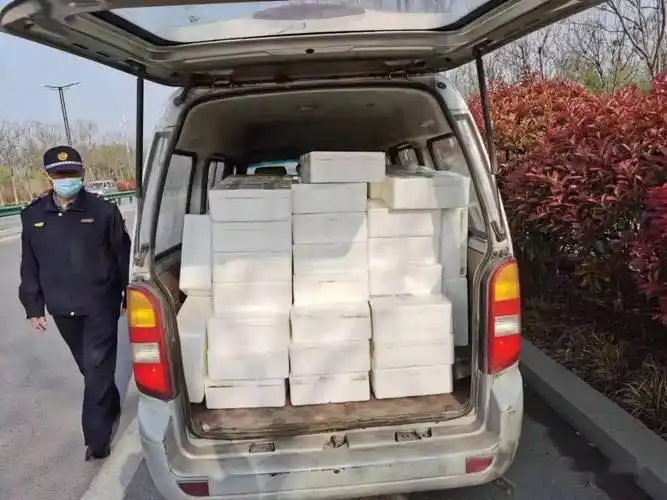 莘县一面包车变货车被查获