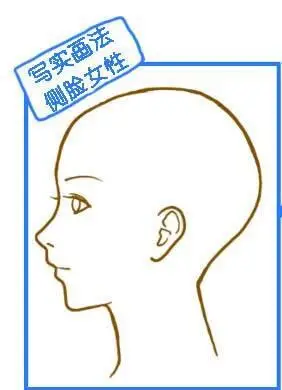 不同风格的人物侧脸