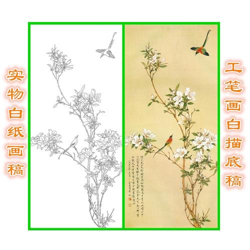 11p14俞致贞工笔国画线描稿杜鹃花鸟白描底稿透条幅