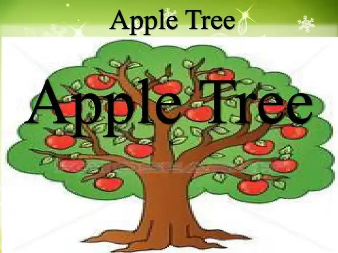 apple treeppt