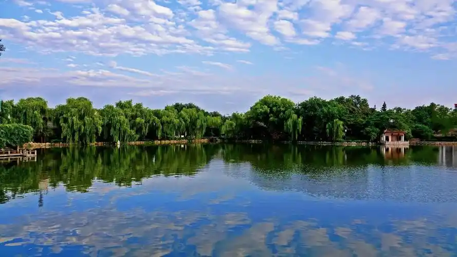 来自:>历史探奇>《图片摄影>公园一角by-藏野驴风景动漫插画风格萌宠