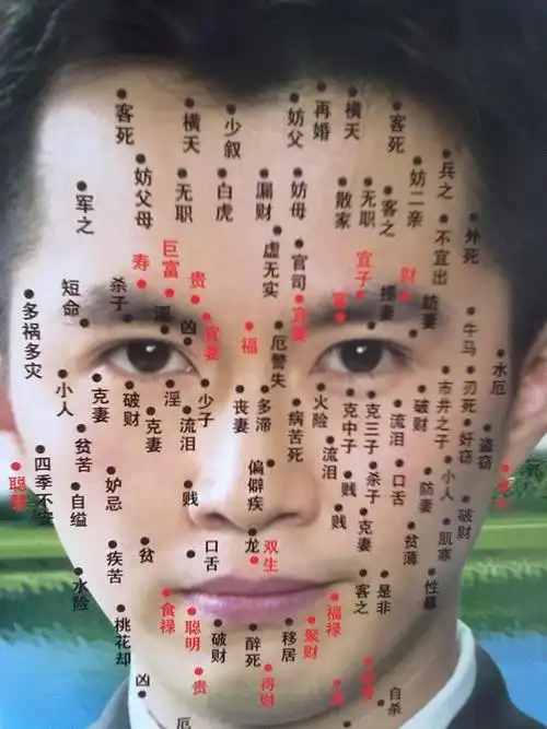 男人鼻子上有痣 第1页