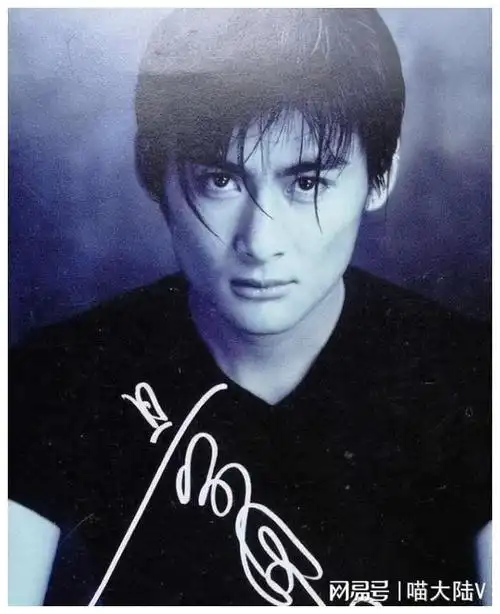 尊龙|唱片|杨采妮|王家卫|古典乐|木村拓哉|华语音乐|音乐专辑