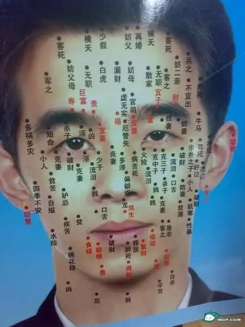 large_wb2t_36270m206105