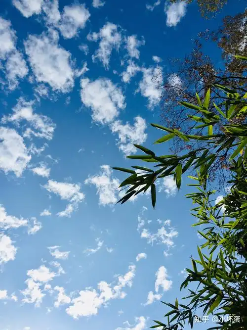 能不能分享一张你手机相册里最美的天空照?