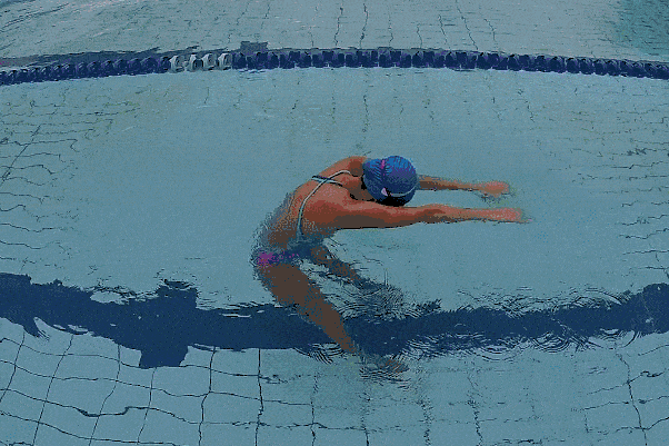 动图示范自由泳直臂划水教学