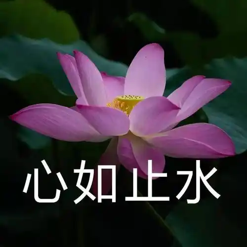 藕来源:金湖荷花荡景区如对本文文字,图片版权有疑问请联系我们会尽快