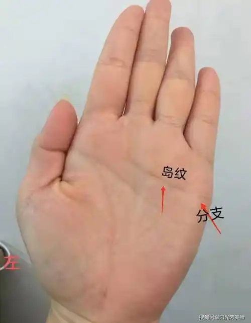 如果出现明显的分支,分叉,岛纹等不利现象,则对