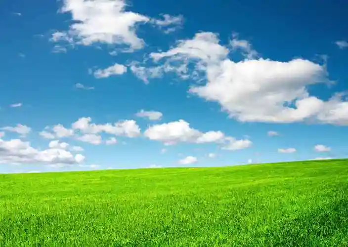 蓝天白云草地桌面壁纸-风景壁纸 - 壁纸家