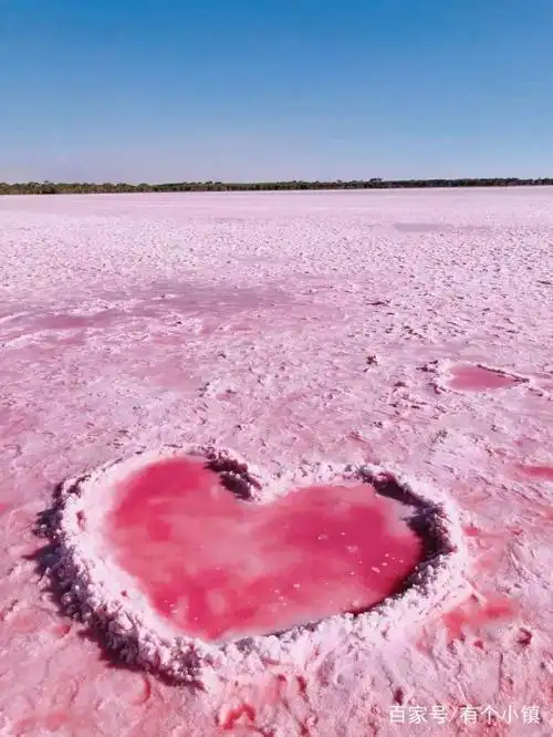 风景|陪你去看少女心,落在西澳的粉红湖