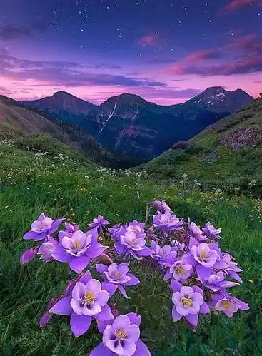 摄影丨这些罕见美景一辈子看一次就值了