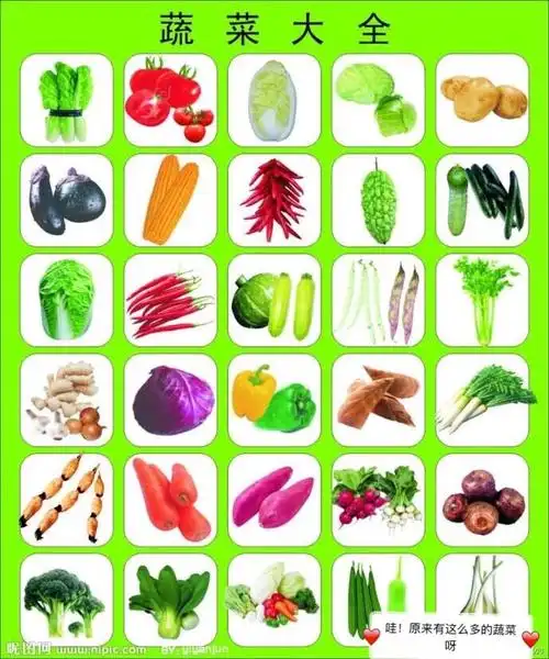 活动一:课堂中认识蔬菜