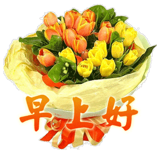 微信早上好图片大全集 新的一天早上好表情包