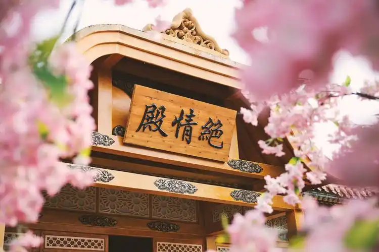 《花千骨》经常出现的一个地方,绝情殿是长留山历代掌门住的地方,也就