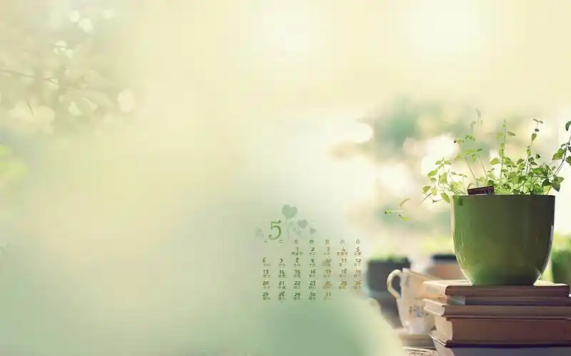 荷花,莲花,蒲公英,布娃娃,绿草,枯枝,盆景,唯美可爱小清新幻灯片背景