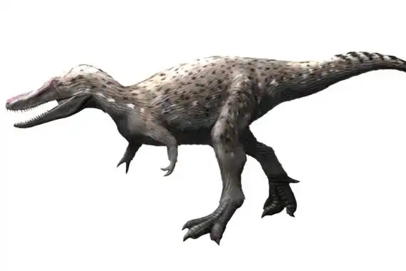 中国十大最厉害的食肉恐龙排名榜最新盘点-百科-优推目录