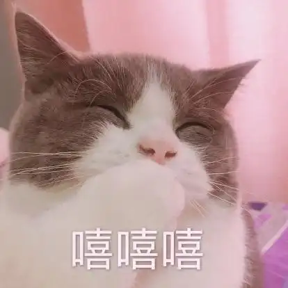 萌宠猫星人嘻嘻嘻开心搞怪可爱gif动图_动态图_表情包下载_soogif