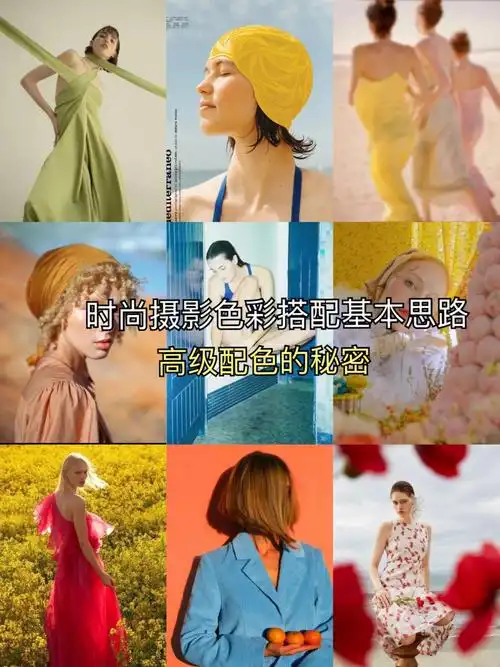摄影色彩搭配五大原则一分钟学会必备知识
