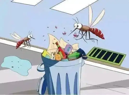 九成人不懂蚊子最大的天敌是啥1个土法子整夜开窗都不怕